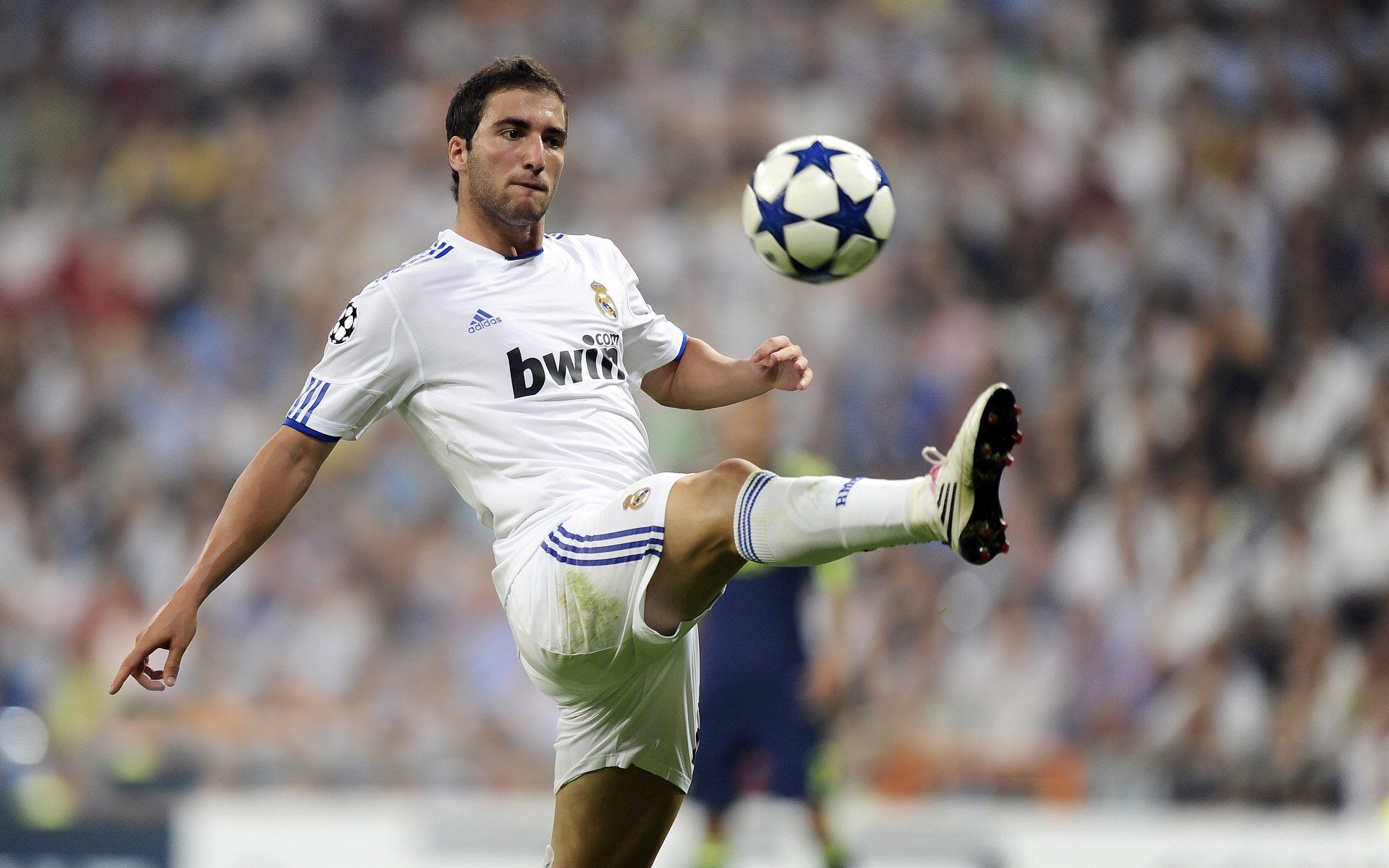 开云网页版-跪下的瞬间，足球超越了胜负，跪下的瞬间，足球超越了胜负